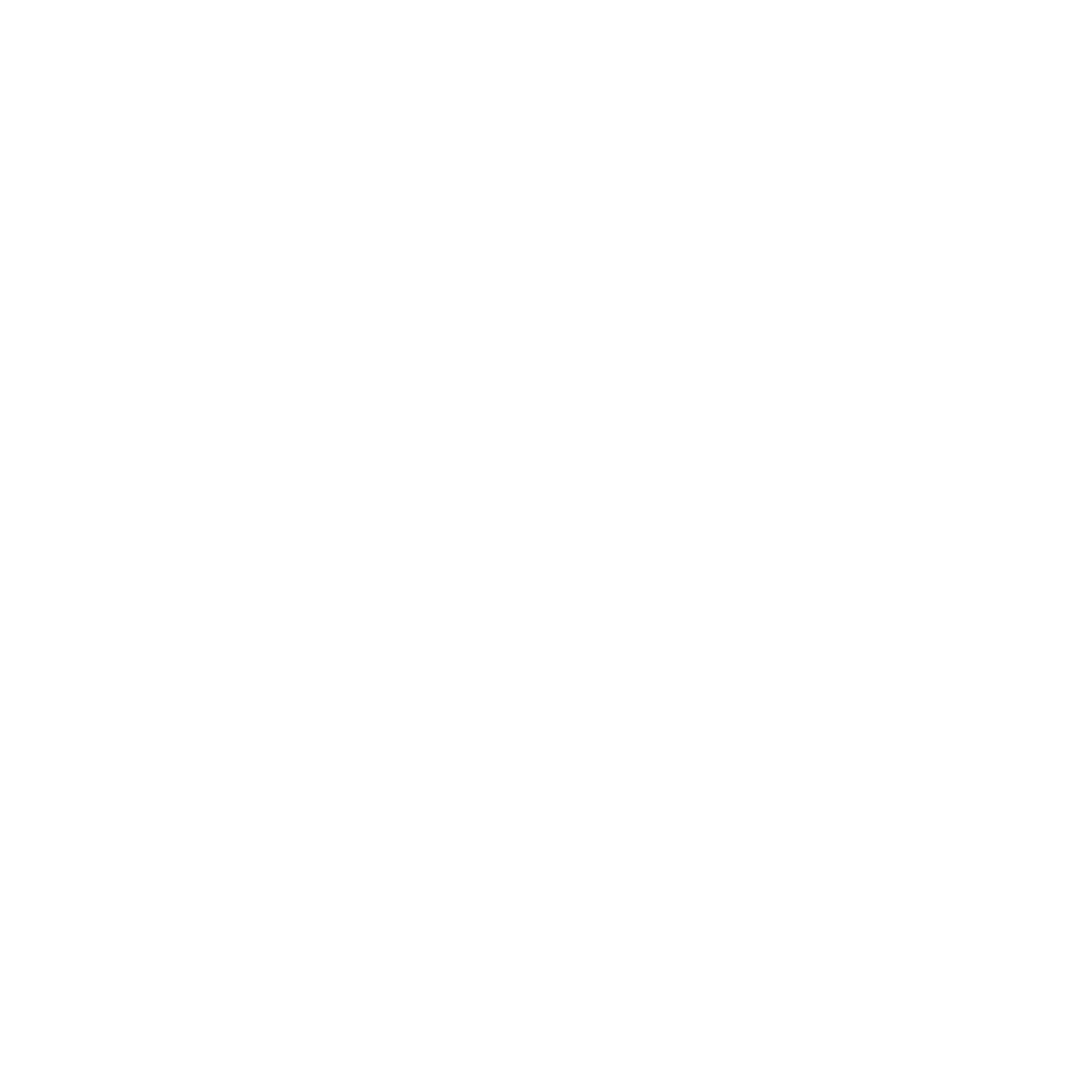 Evoris logo